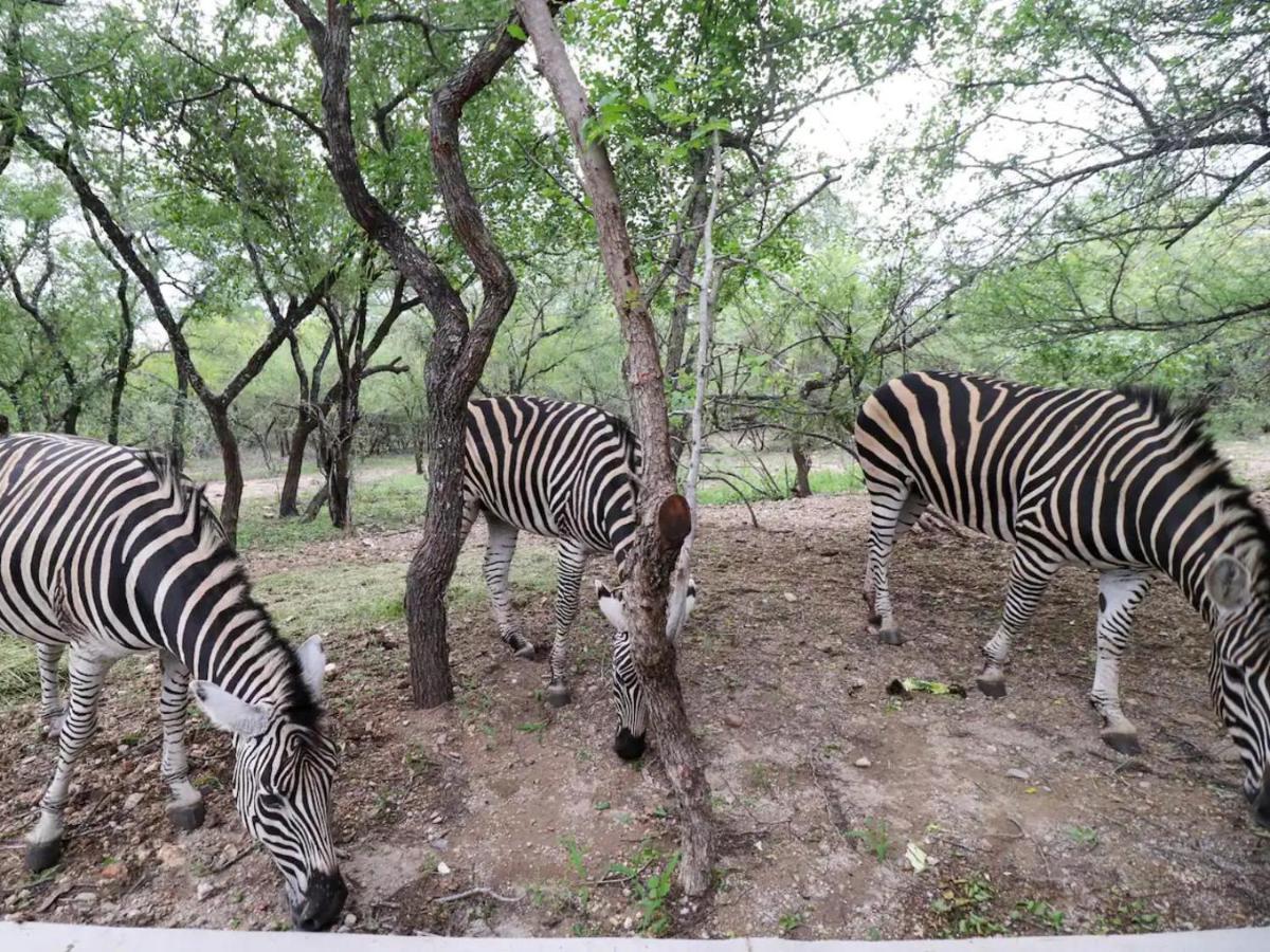 Апартаменти Chelesa By Kruger Nights Марлот-Парк Екстер'єр фото